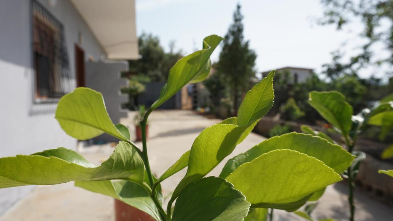 Markev Apartament Wlora