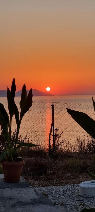Markev Apartament Wlora
