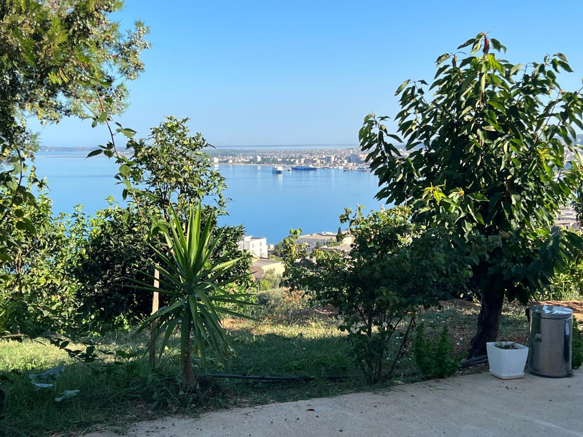 Apartament Markev